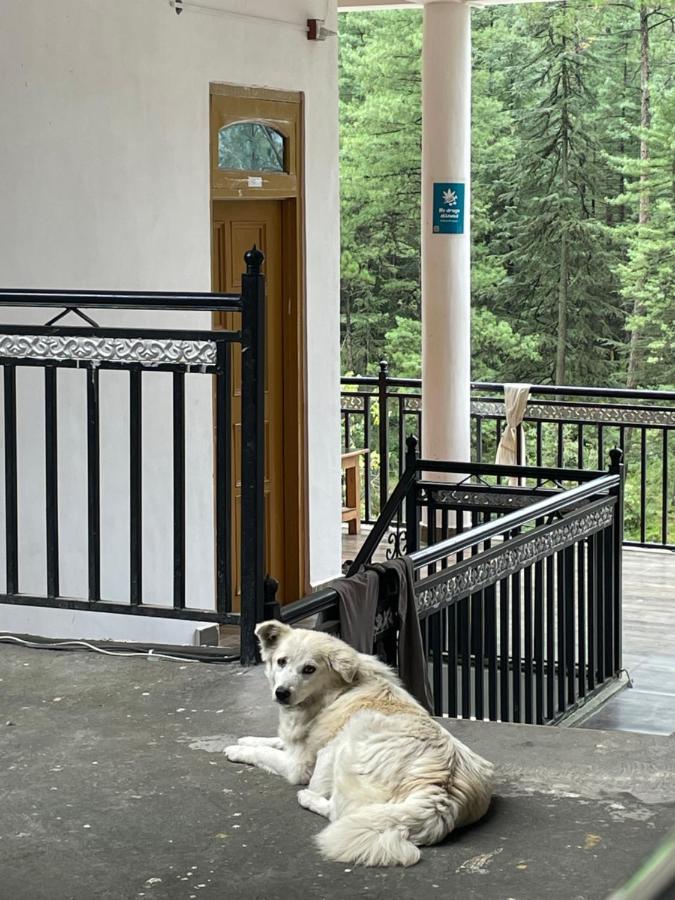Wabi Sabi Riverside Hostel Касоль Екстер'єр фото